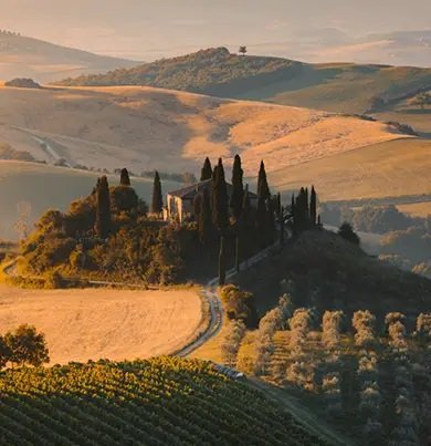 Dr. Vranjes - Rosso Nobile Candle 500g