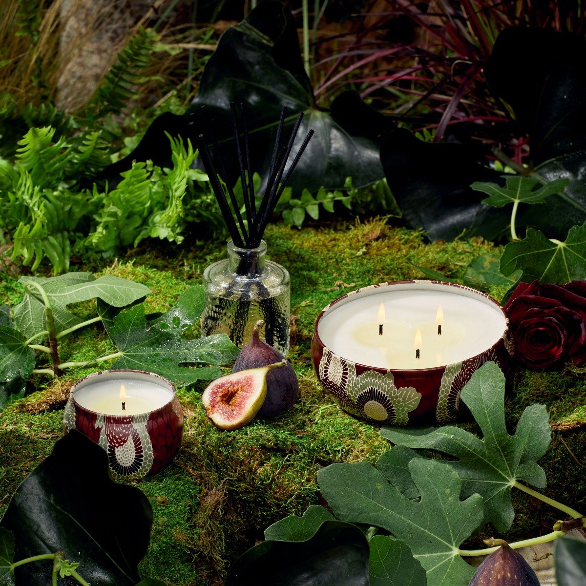 Voluspa - Forbidden Fig 3 Wick Tin Candle
