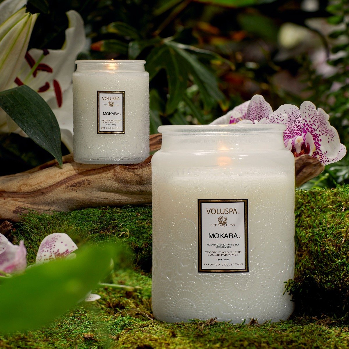 Voluspa - Mokara Large Jar Candle