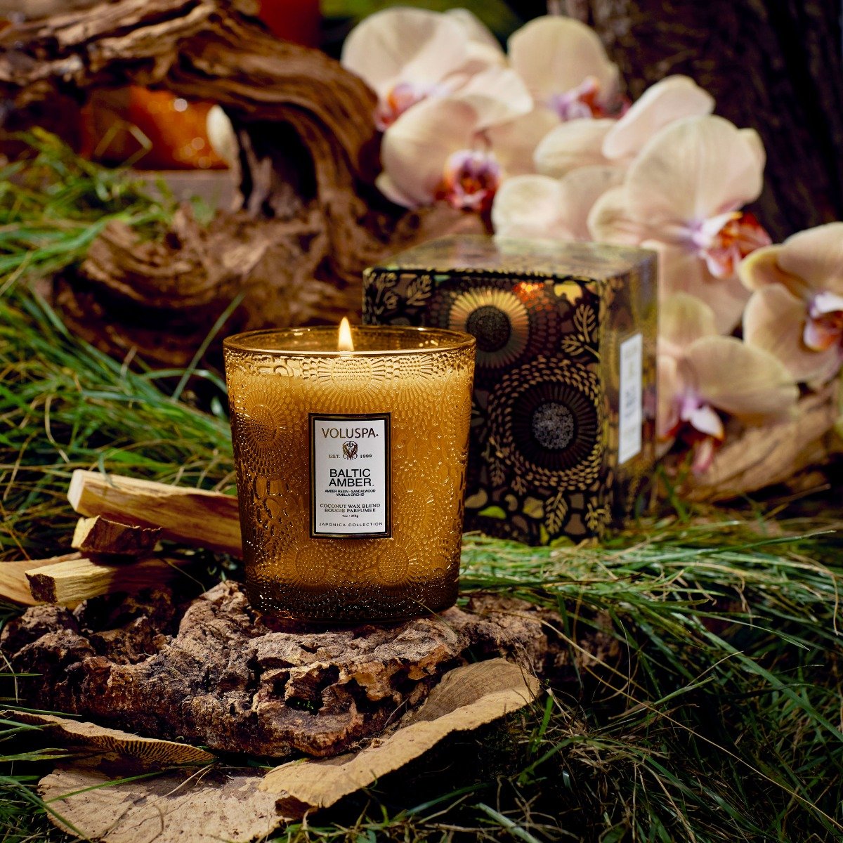 Voluspa - Baltic Amber Classic Candle