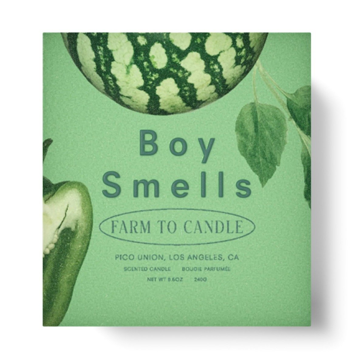 Boy Smells - Snap Candle