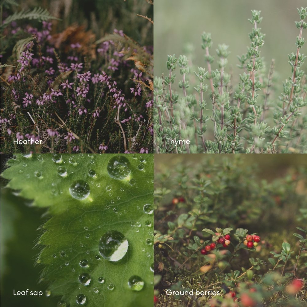 Skandinavisk - FJALL (Mountain) Candle