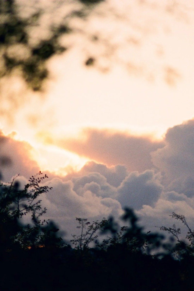 Flamingo Estate - Petrichor Candle