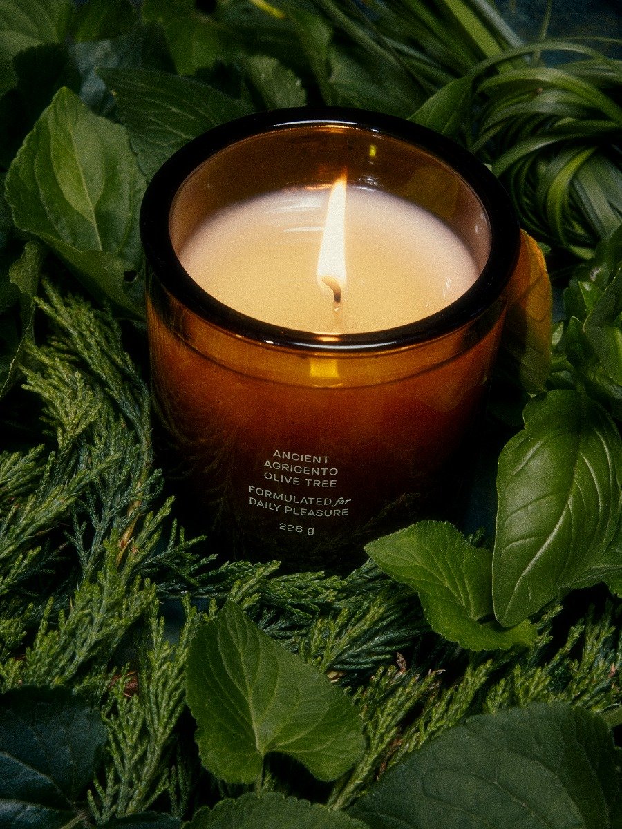 Flamingo Estate - Ancient Agrigento Olive Tree Candle