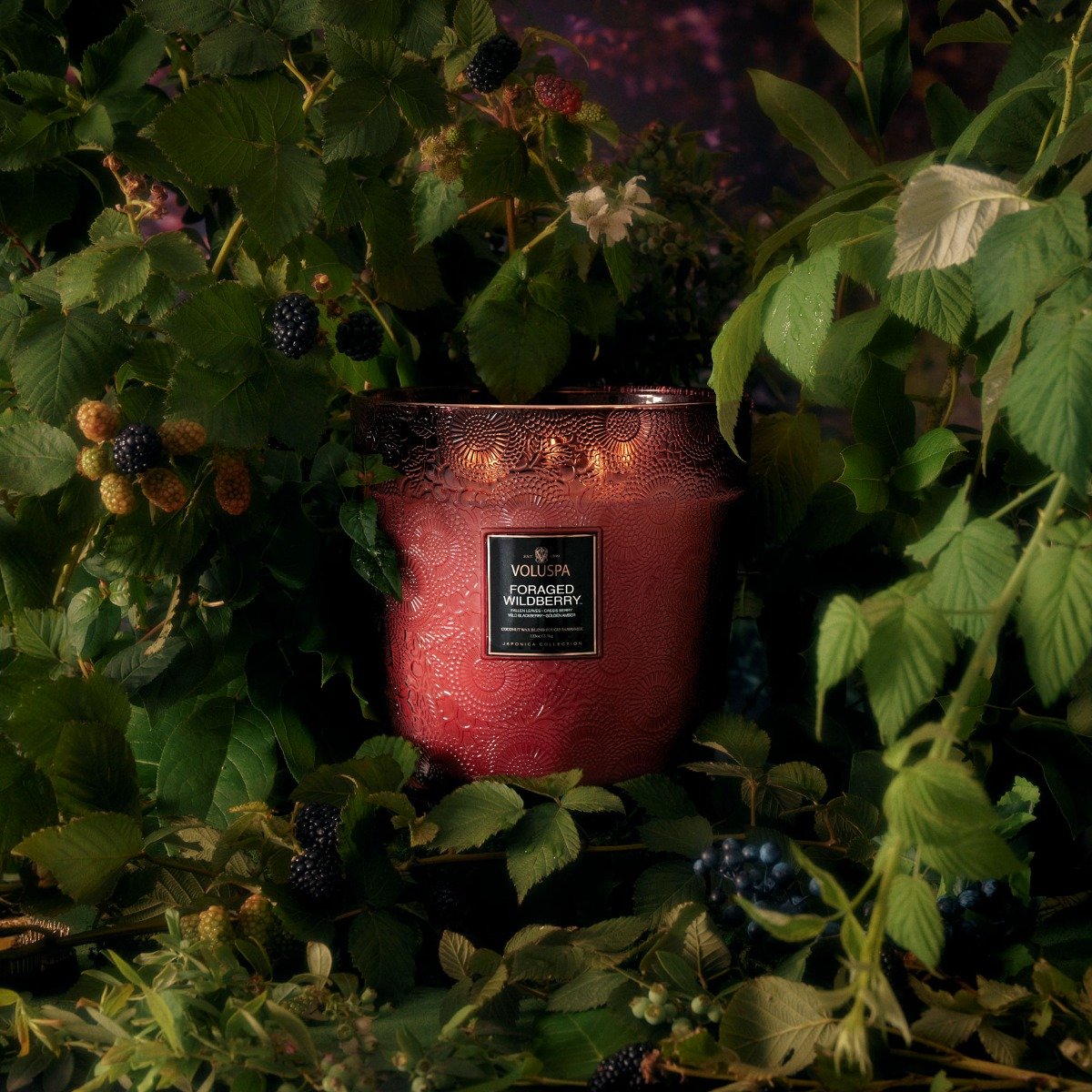 Voluspa - Foraged Wildberry 5 Wick Hearth Candle