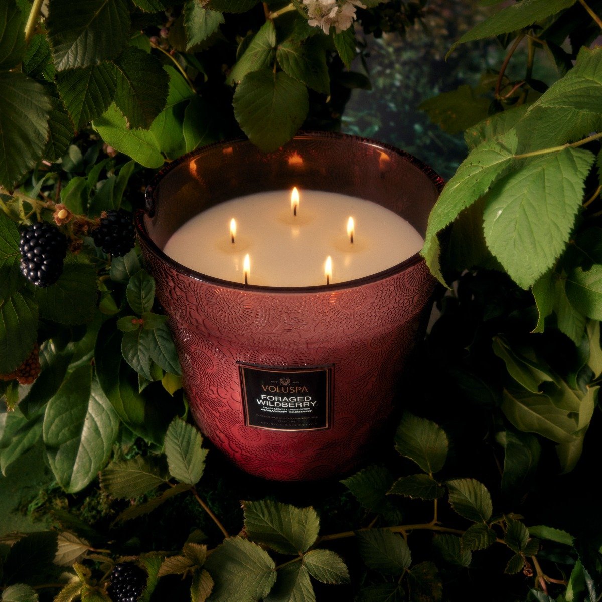 Voluspa - Foraged Wildberry 5 Wick Hearth Candle