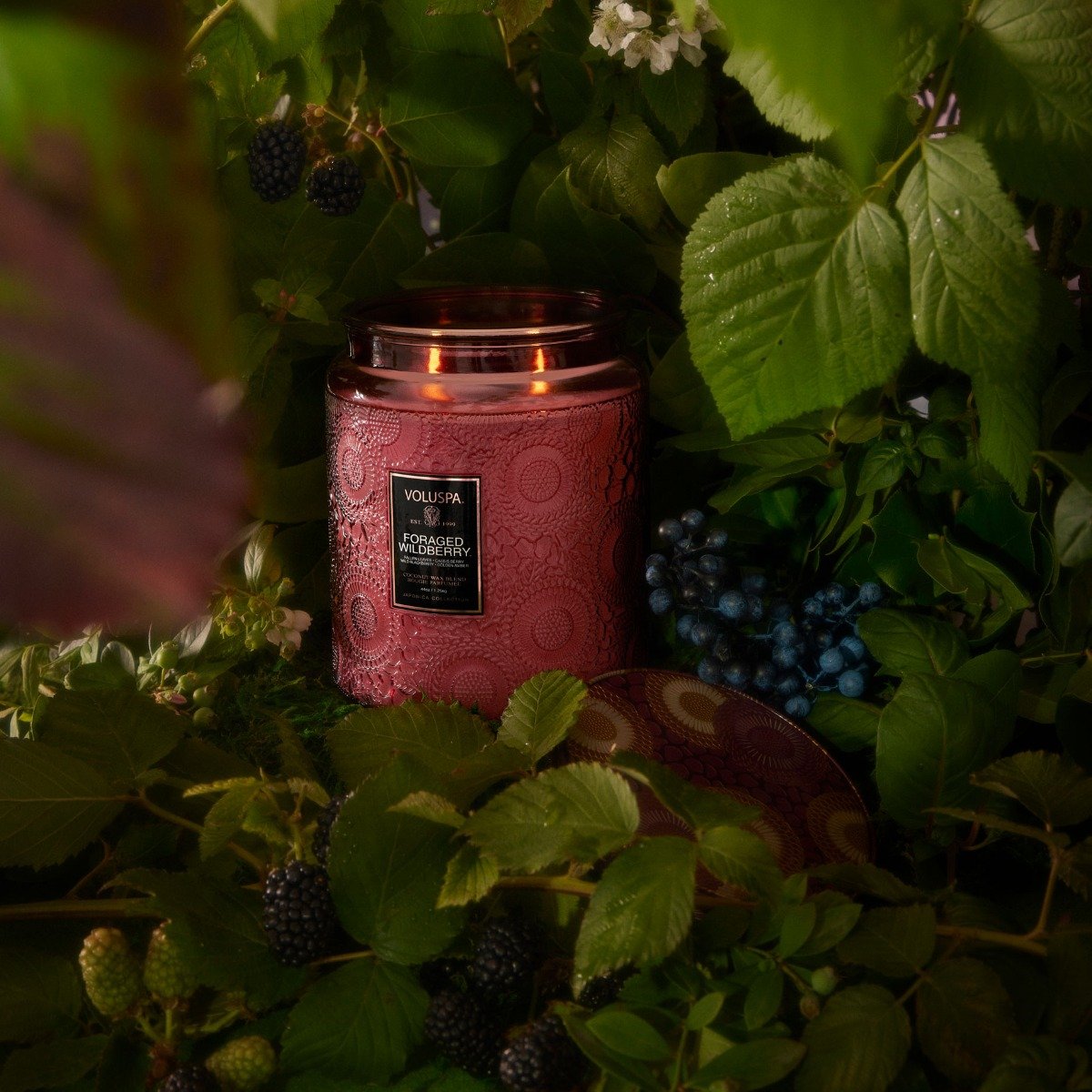 Voluspa - Foraged Wildberry Luxe Candle