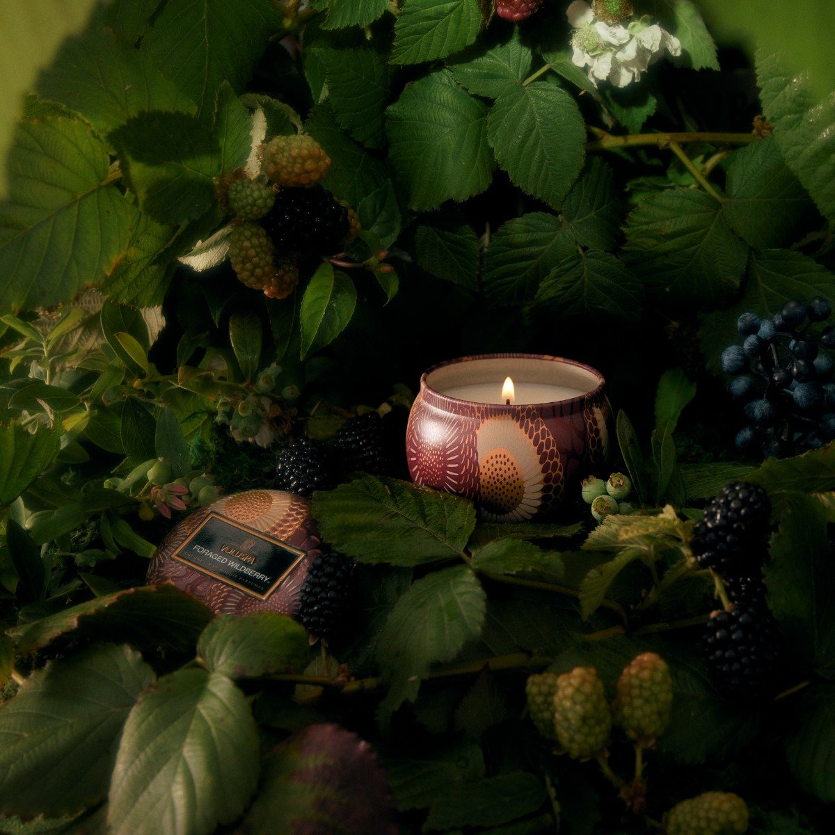 Voluspa - Foraged Wildberry Mini Tin Candle
