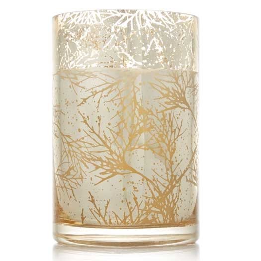 Thymes - Forest Cedar Medium Luminary Candle