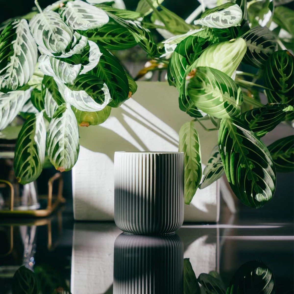 Luminose - Forest Parade Candle