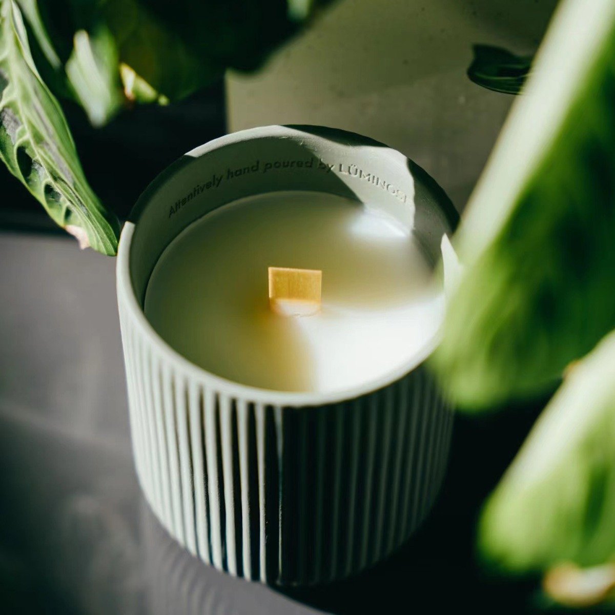 Luminose - Forest Parade Candle