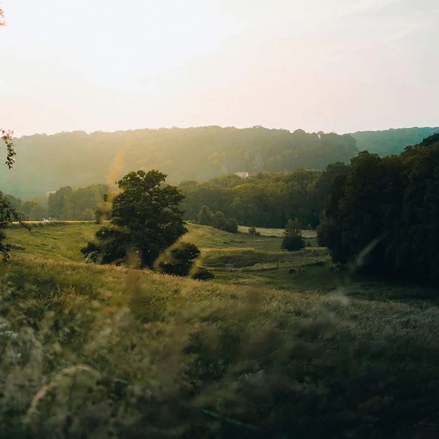 True Grace - English Summer Candle