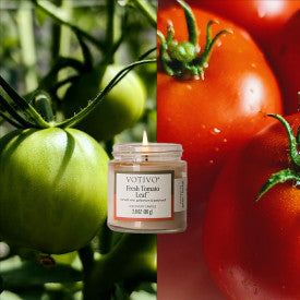 Votivo - Fresh Tomato Leaf Discovery Candle