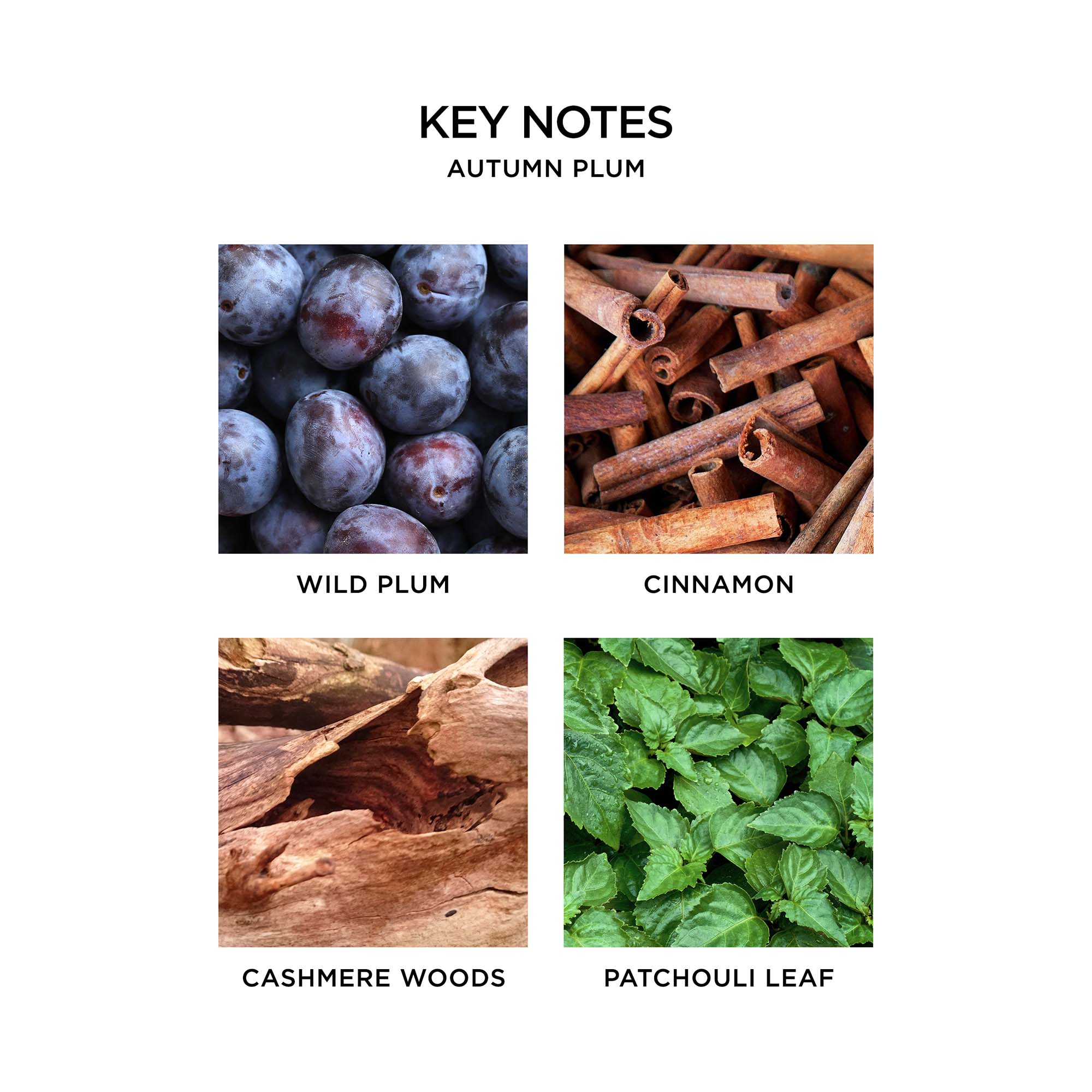 Nest - Autumn Plum 3 Wick Candle