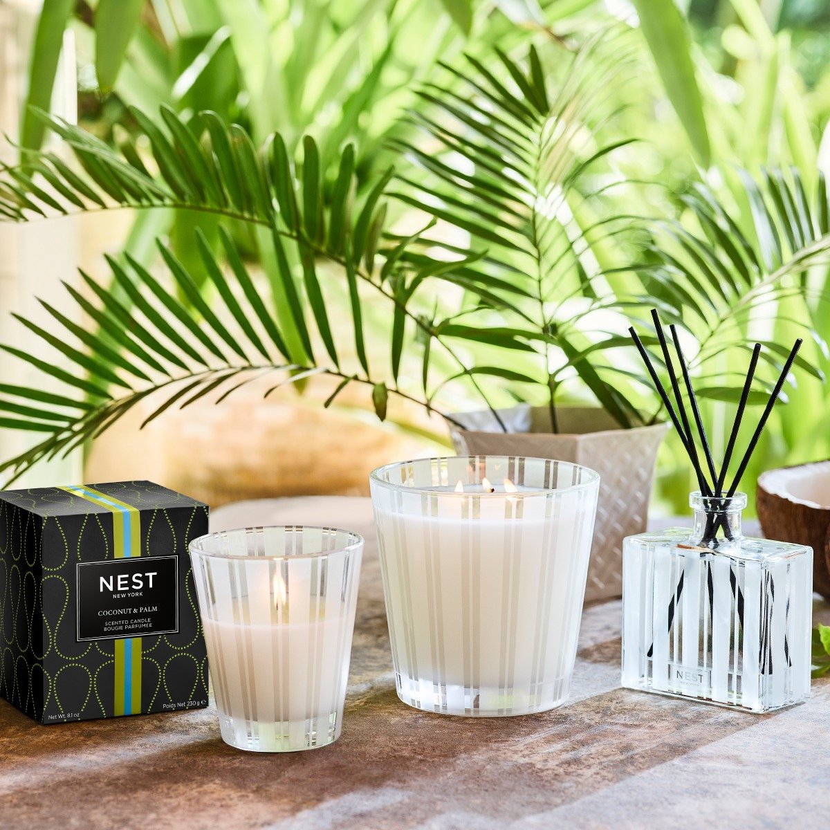 Nest - Coconut & Palm Votive Candle