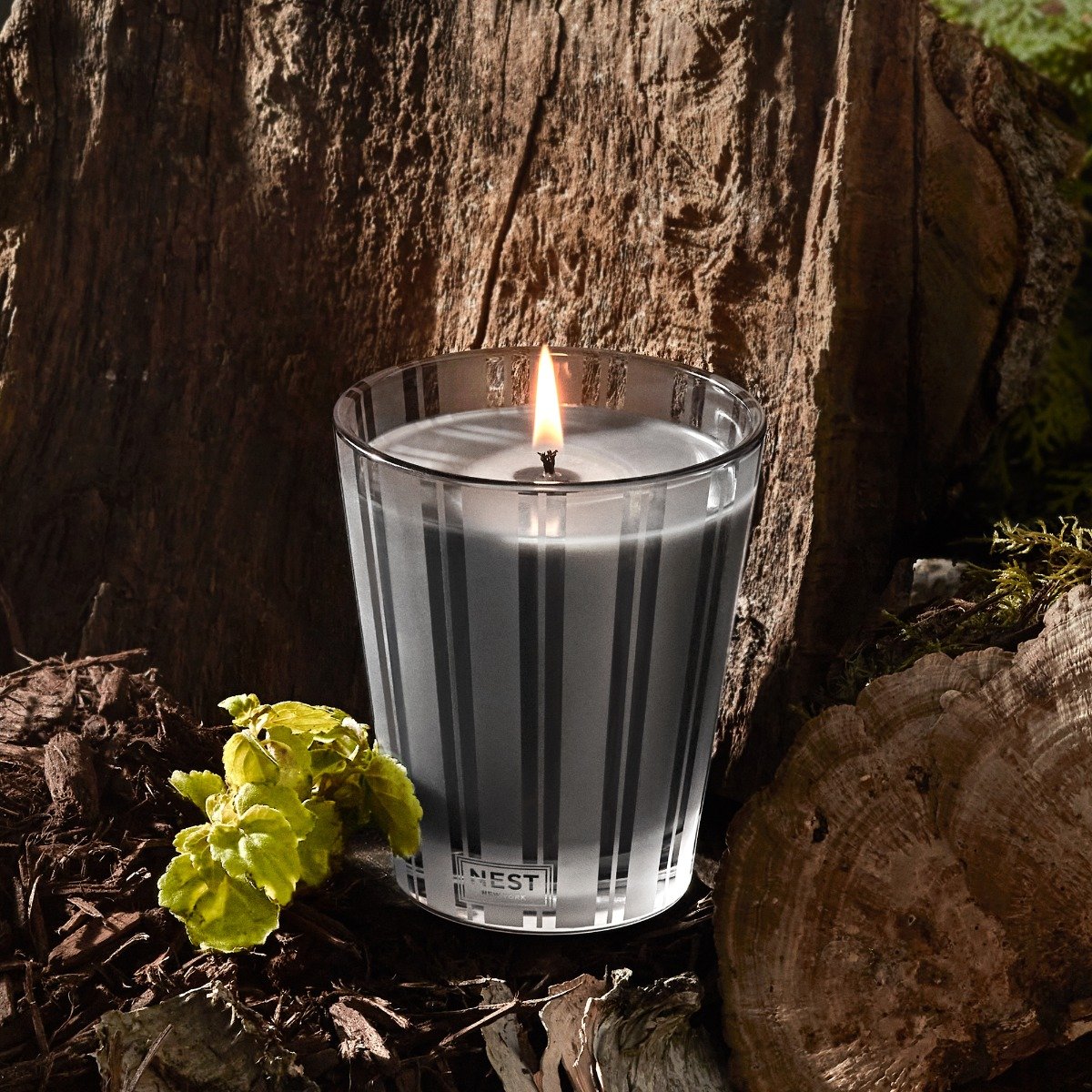 Nest - Charcoal Woods Candle