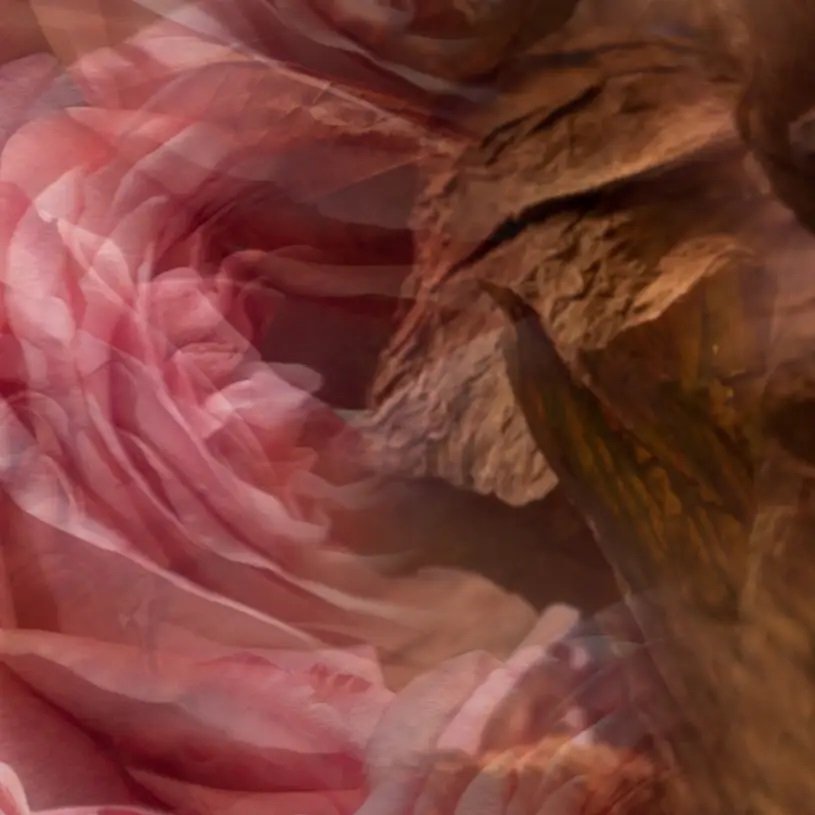 Dr. Vranjes - Rosa Tabacco Candle 200g