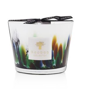 Baobab Collection - Rainforest Amazonia Max10 Candle