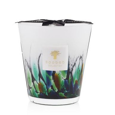 Baobab Collection - Rainforest Amazonia Max16 Candle