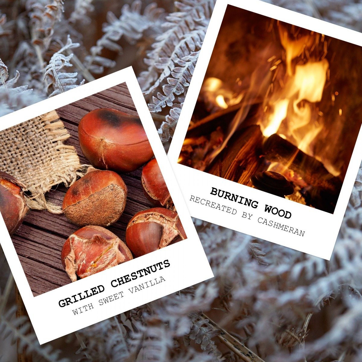 Maison Margiela Replica - By The Fireplace Diffuser