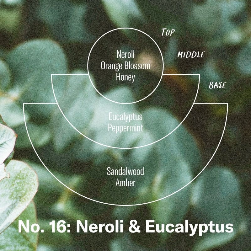 P.F. Candle Co. - Neroli & Eucalyptus Large Candle