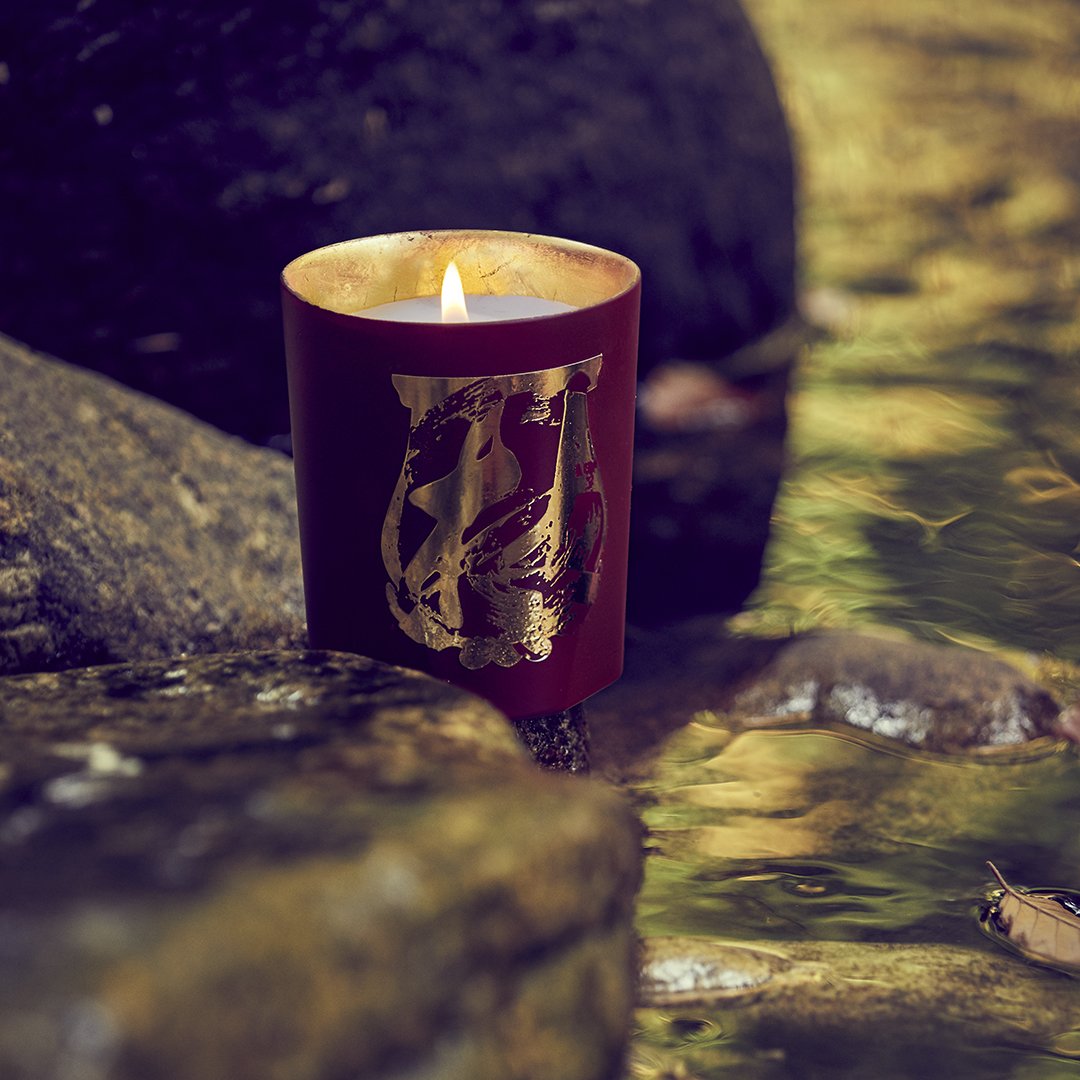 Trudon - Maître Tseng Terre à Terre Candle (Deep Forest)