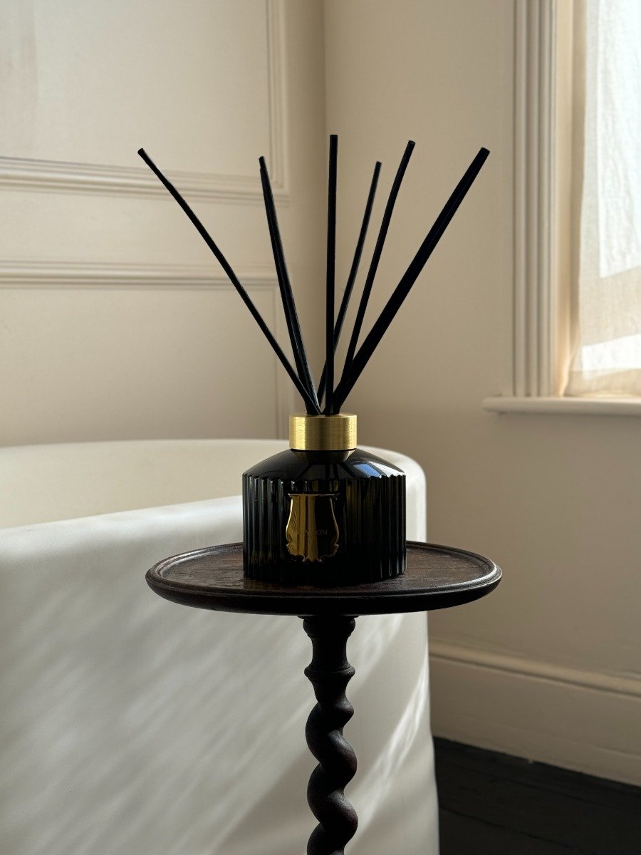 Trudon - Abd el Kader (Moroccan Mint Tea) Large Diffuser