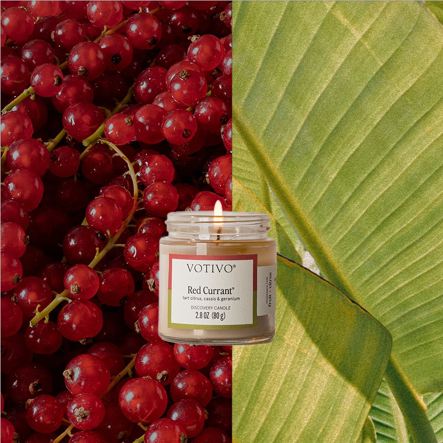 Votivo - Red Currant Discovery Candle