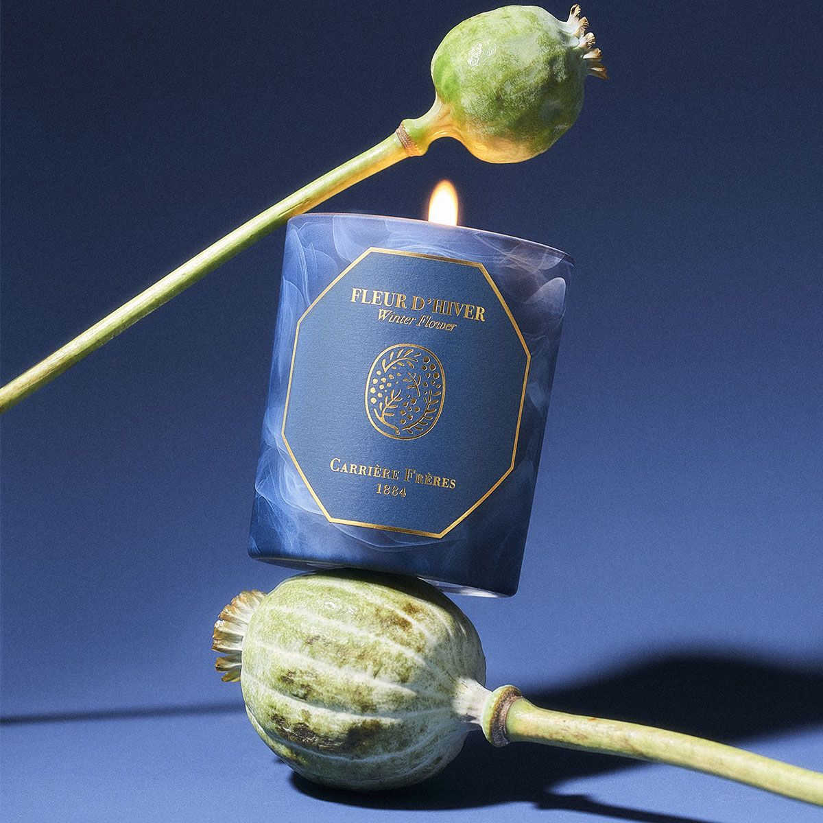 Carriere Freres - Winter Flower Candle