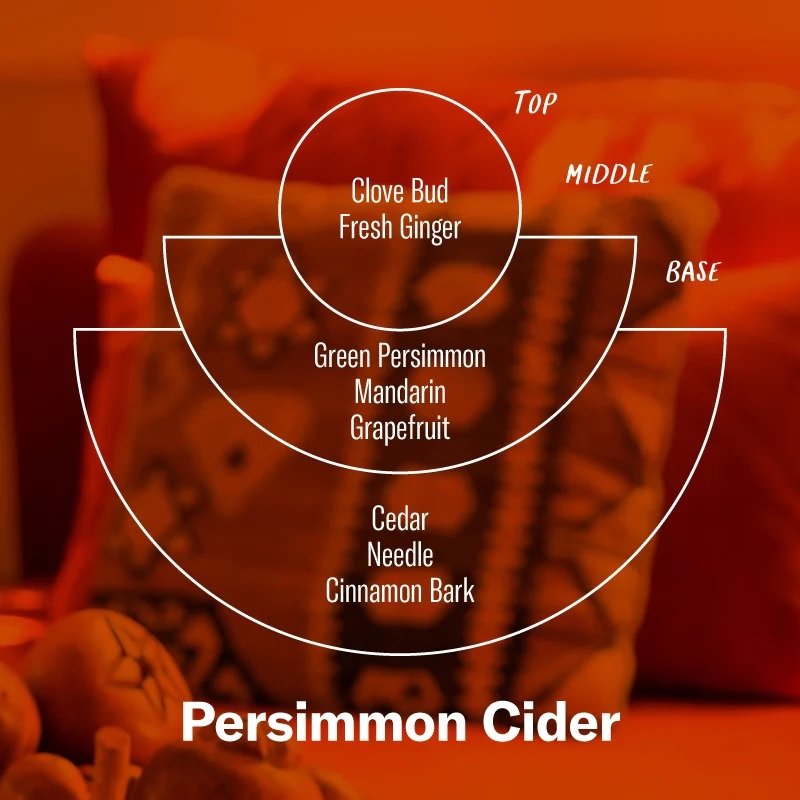 P.F. Candle Co. - Persimmon Cider Candle