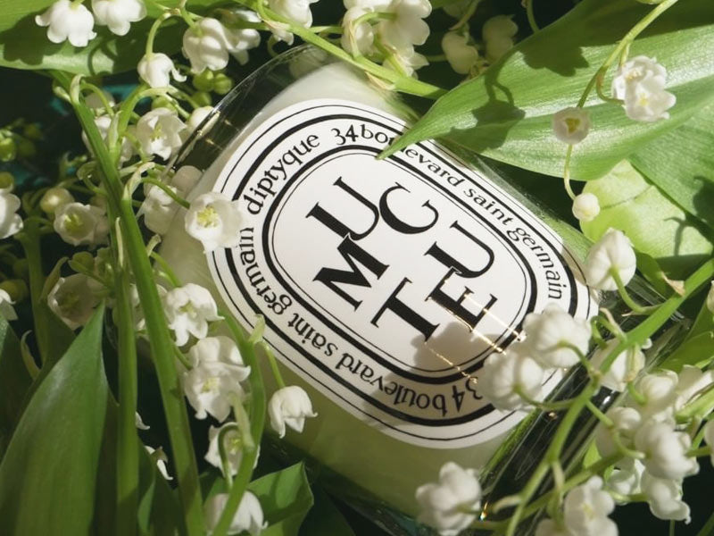 Summer Candle Scents