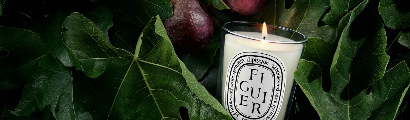 Diptyque Figuier (Fig) Collection