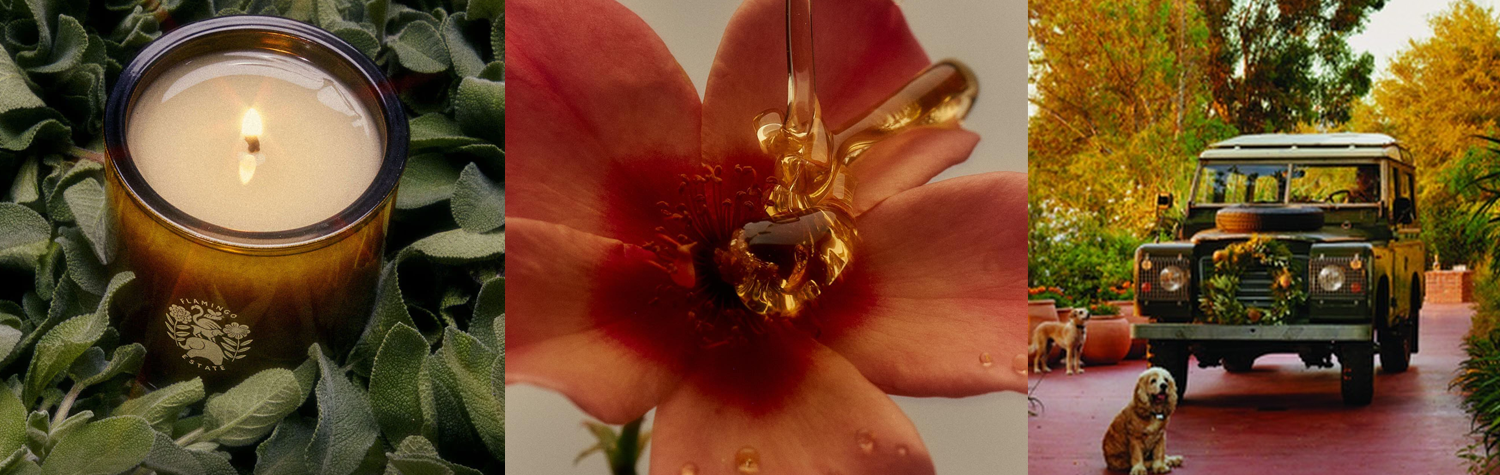 Flamingo Estate Candles