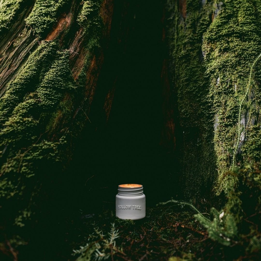 Hollow Tree - Trails End (Cedar Grove) Candle