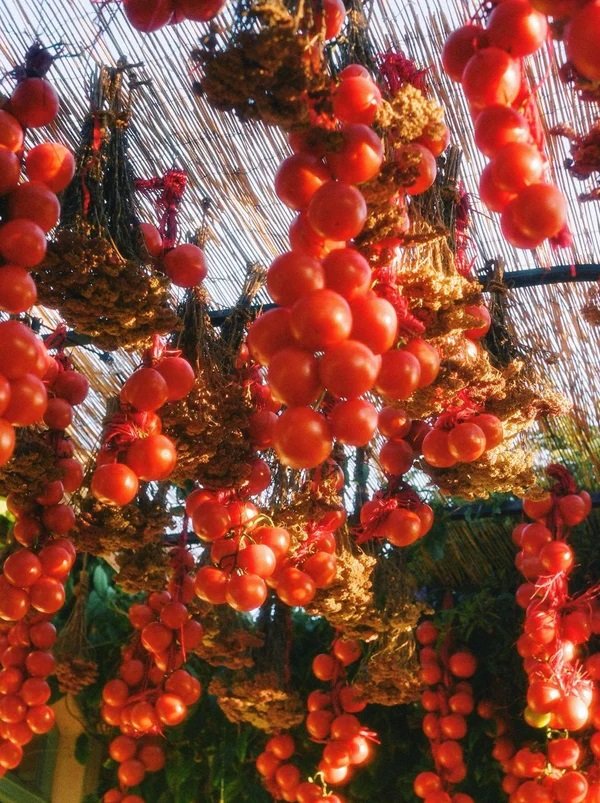 Flamingo Estate - Roma Heirloom Tomato Candle