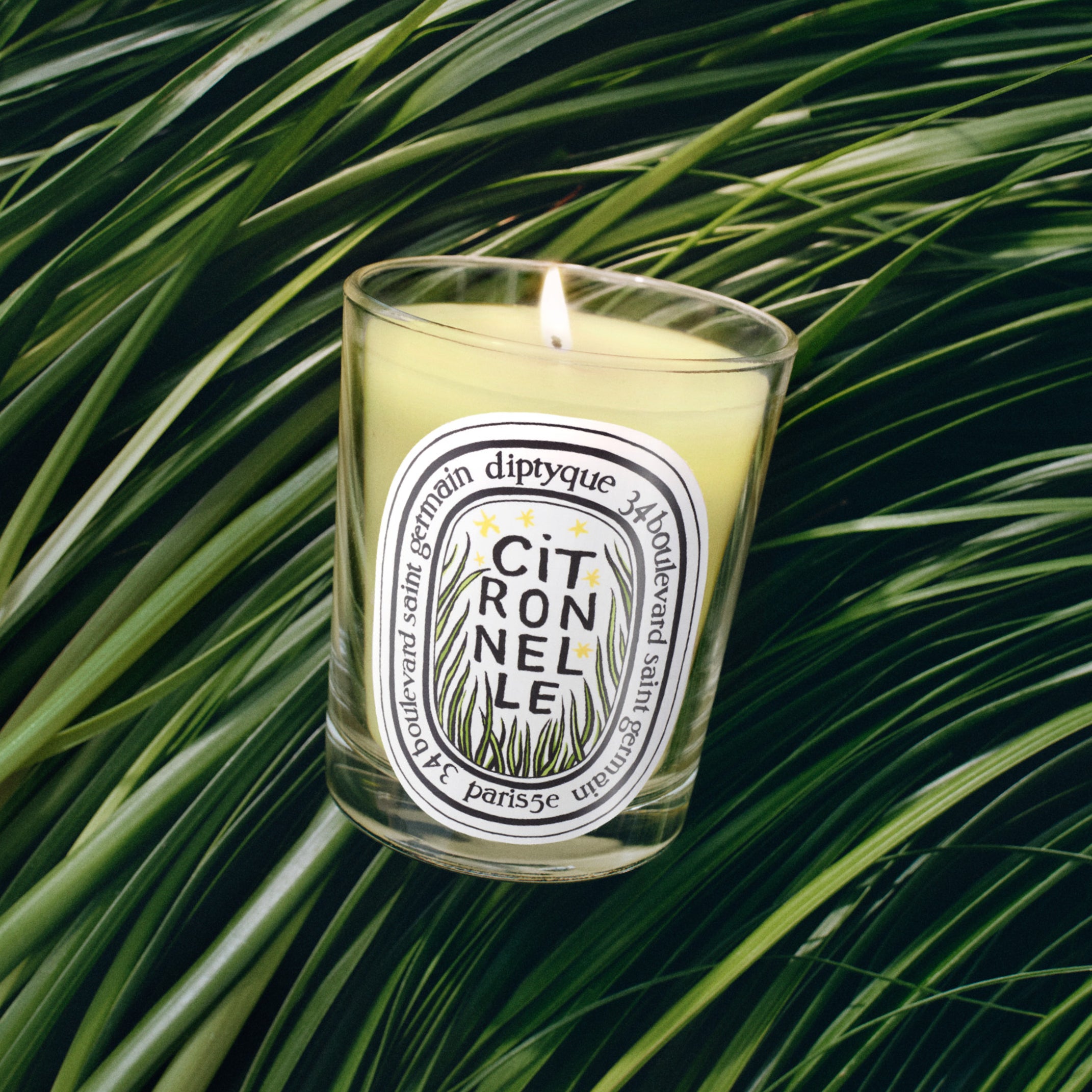 Diptyque - Citronnelle Candle (Lemongrass) | Candle Delirium