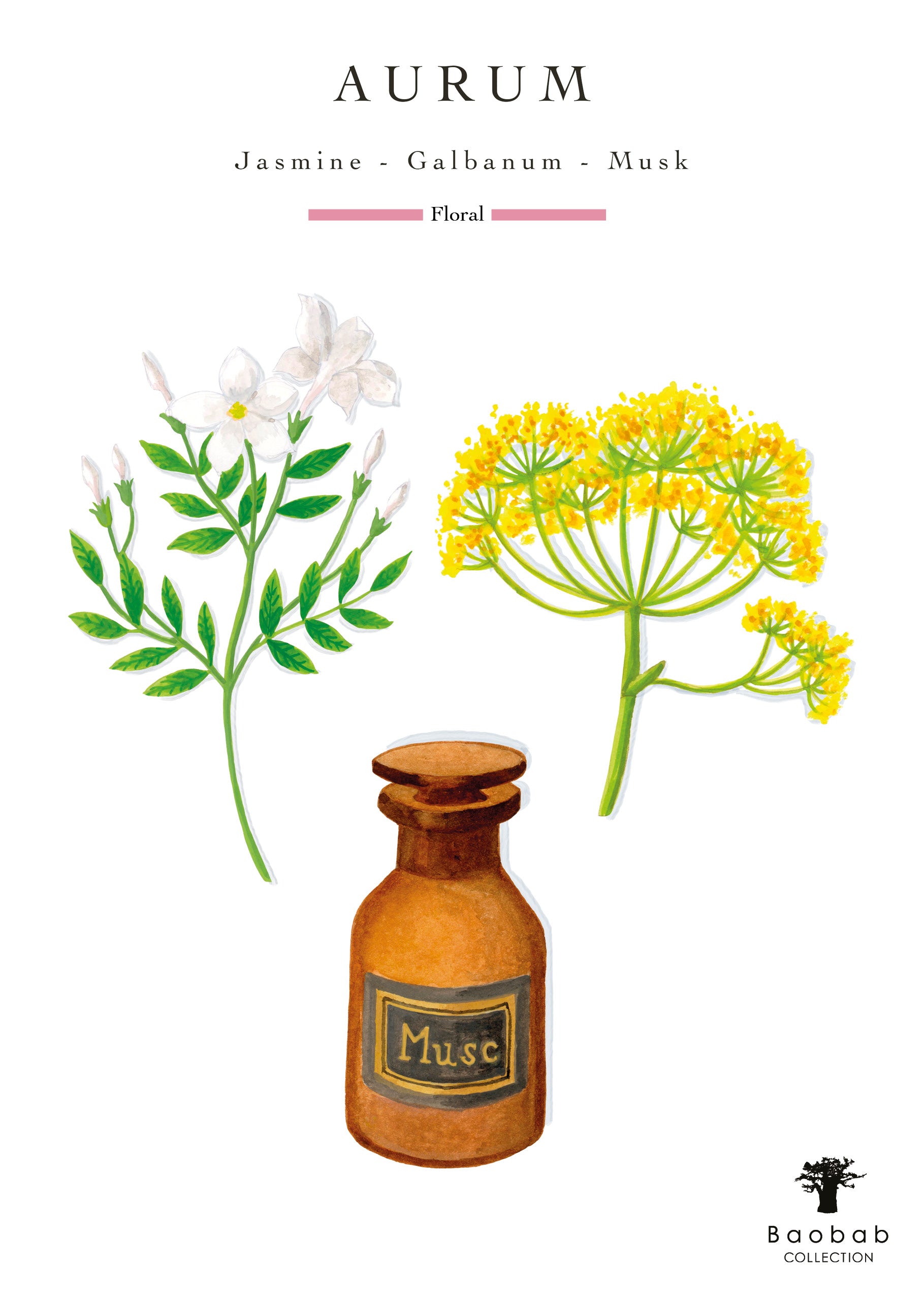 Baobab Collection - Aurum Max24 Grande Candle