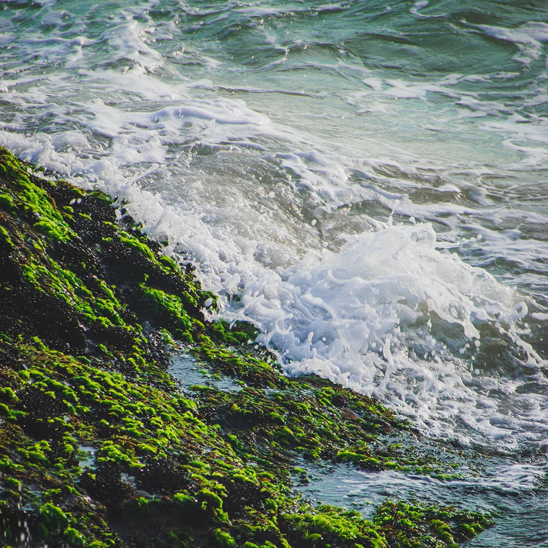 Archipelago - Sea Boxed Candle