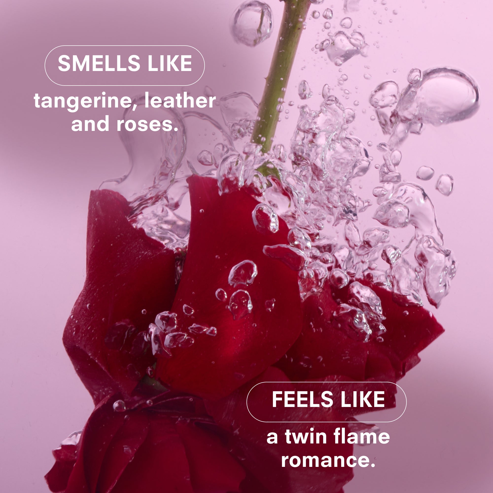 Boy Smells - Rosalita Candle