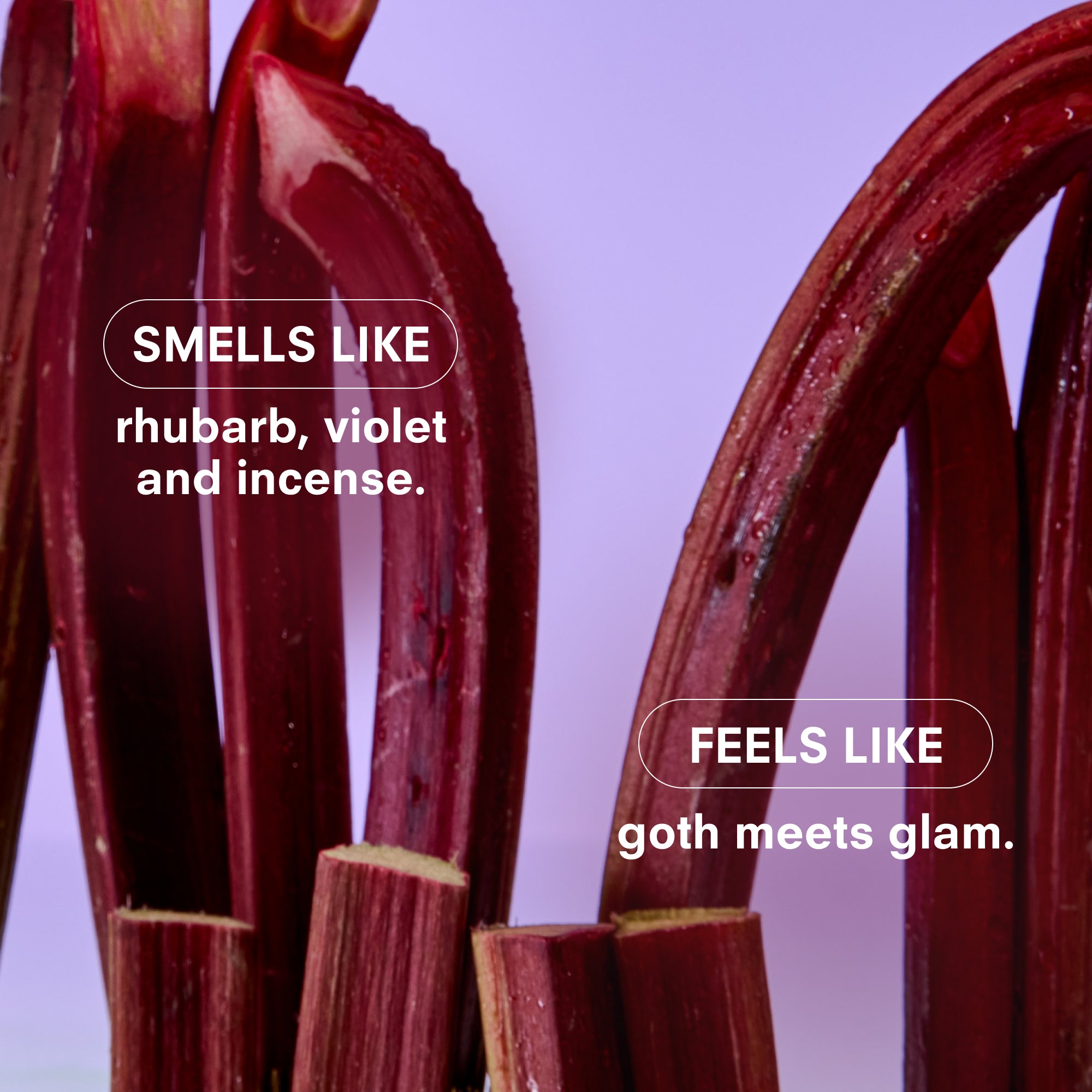 Boy Smells - Violet Ends Candle at CandleDelirium.com | Candle