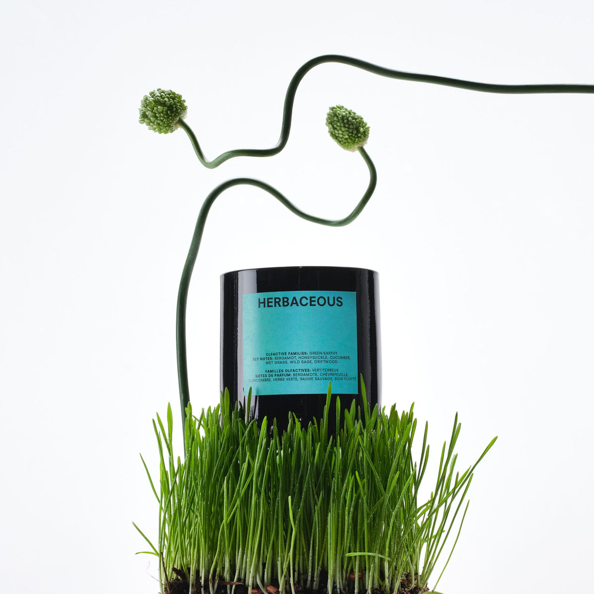 Boy Smells - Herbaceous Candle