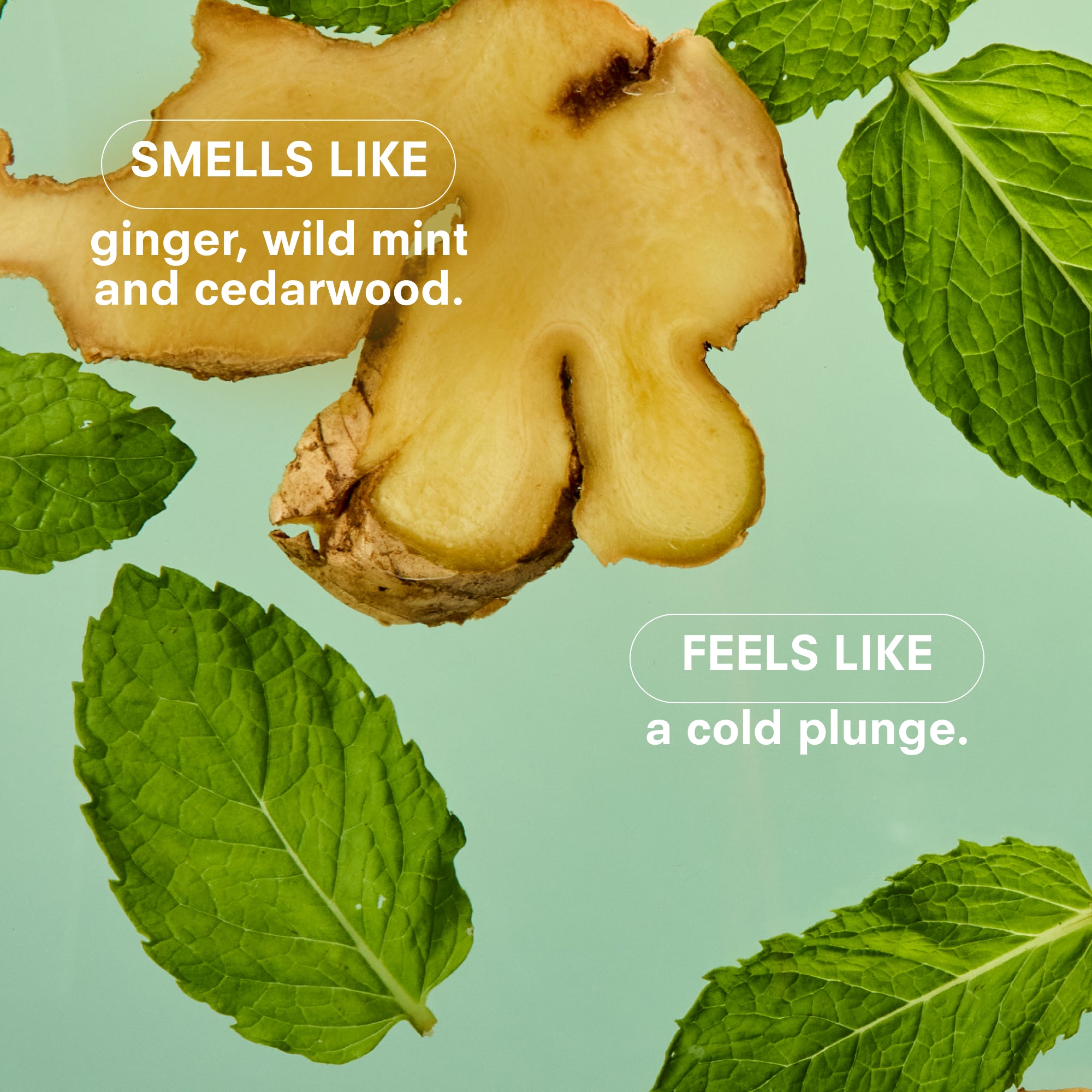 Boy Smells - Minty Candle