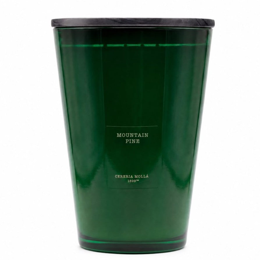 Cereria Molla - Mountain Pine 4 Wick Candle