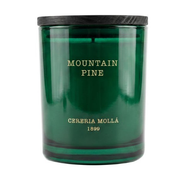 Cereria Molla - Mountain Pine Candle