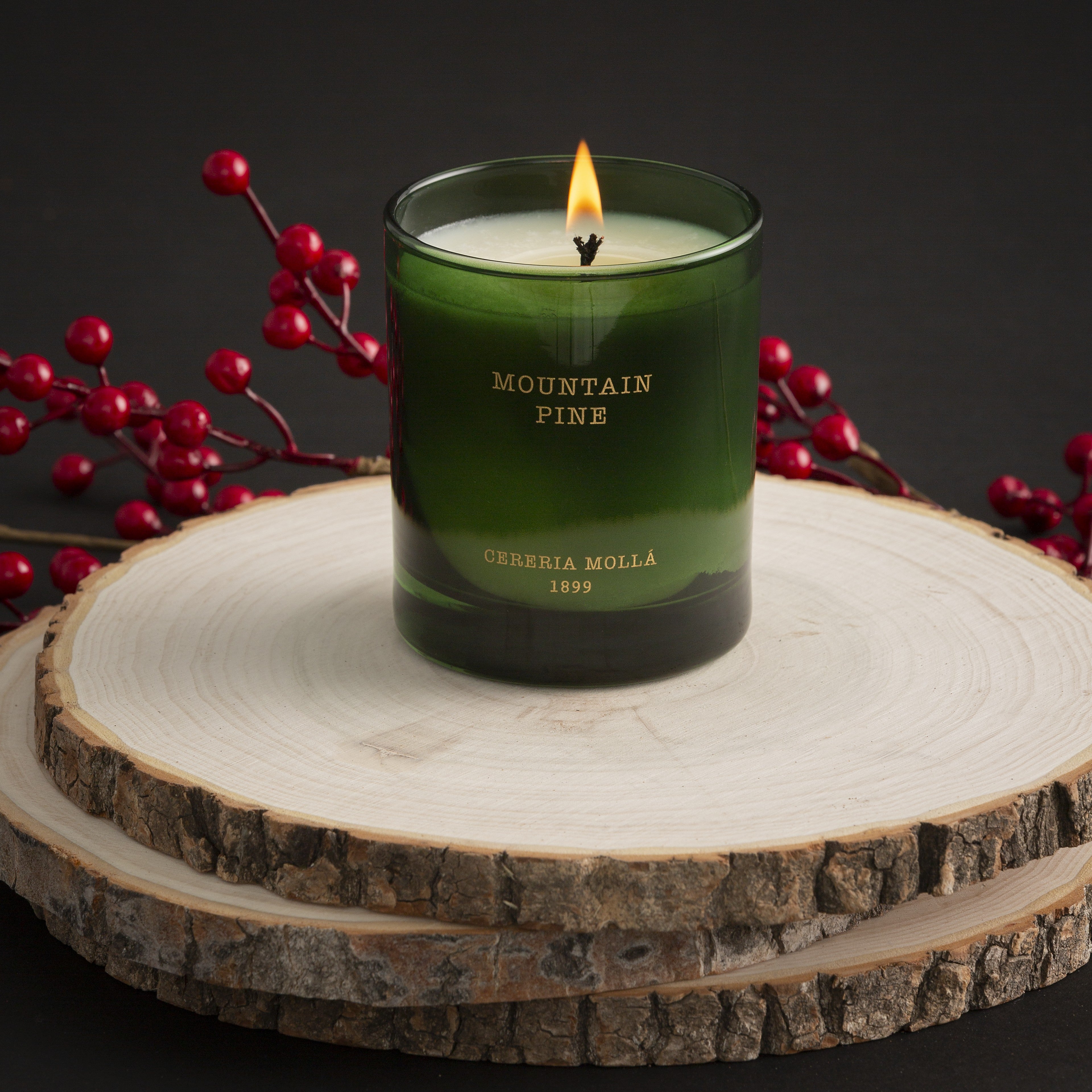 Cereria Molla - Mountain Pine Candle
