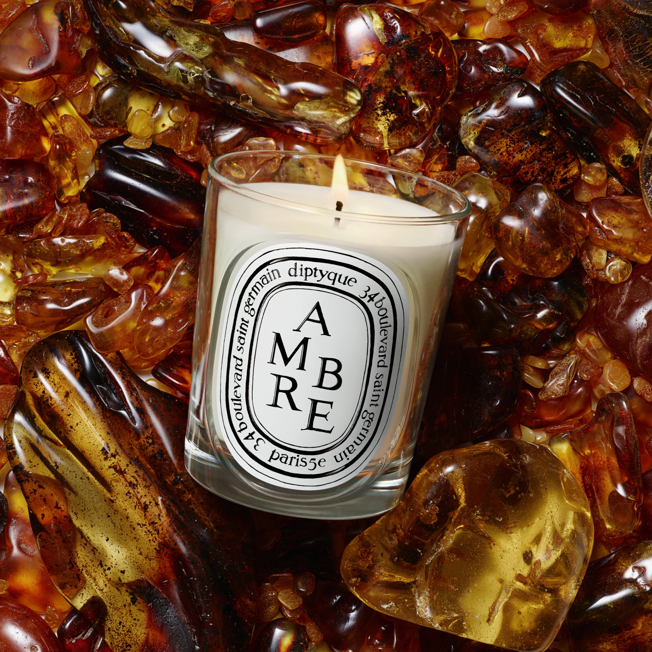 Diptyque - Ambre Candle (Amber) | Candle Delirium
