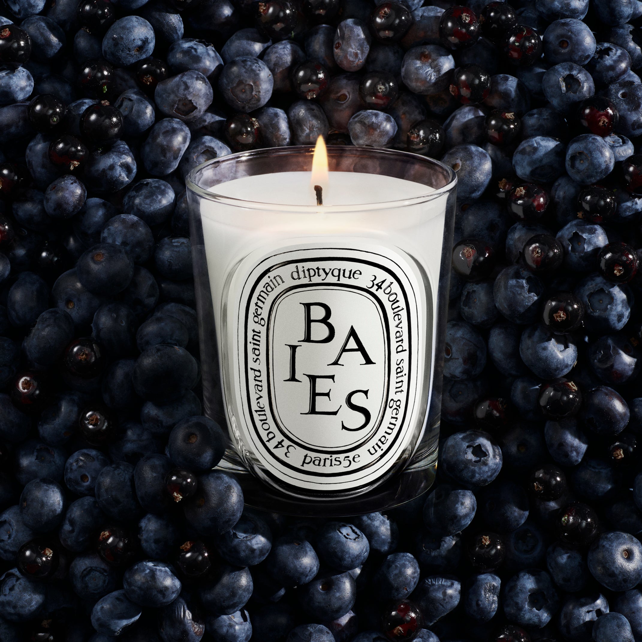 Diptyque - Baies Candle (Berries)