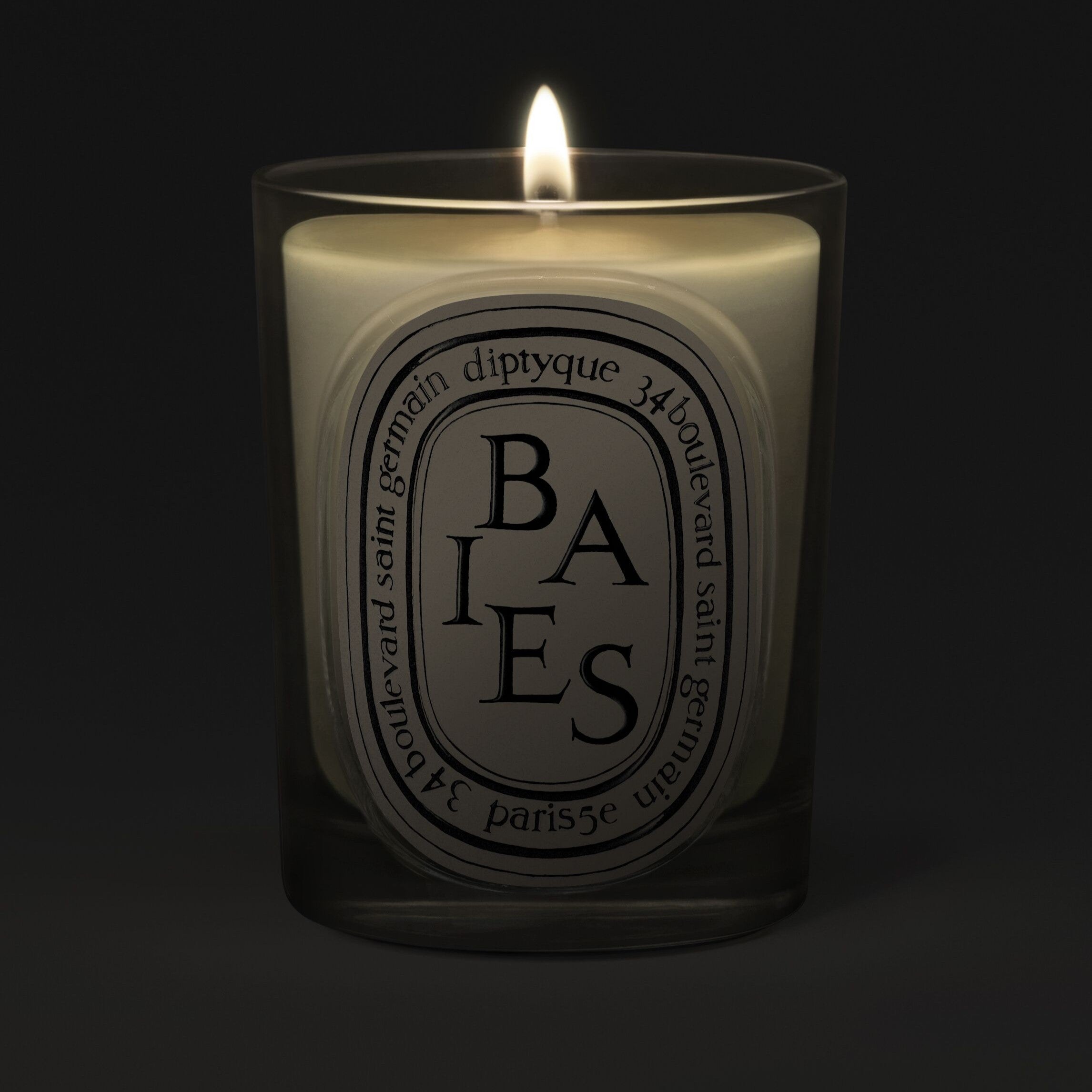 Diptyque - Baies Candle (Berries)