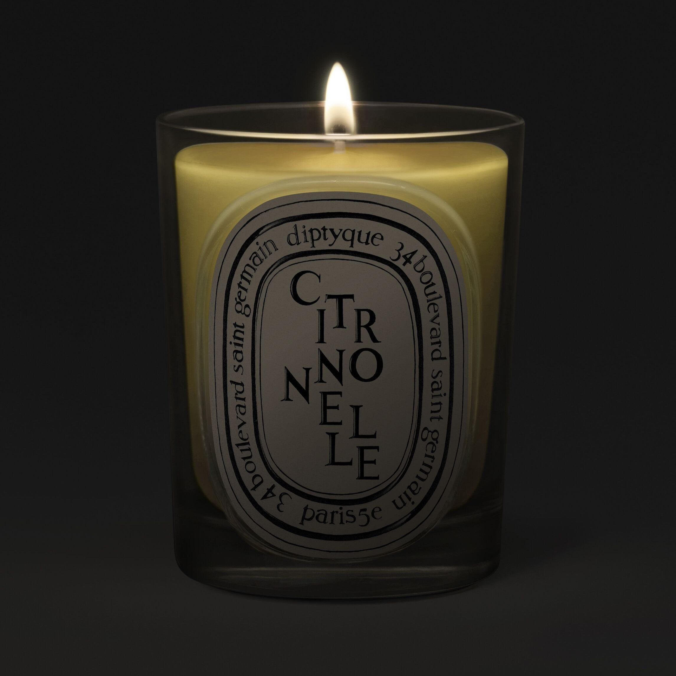 Diptyque - Citronnelle Candle (Lemongrass) | Candle Delirium