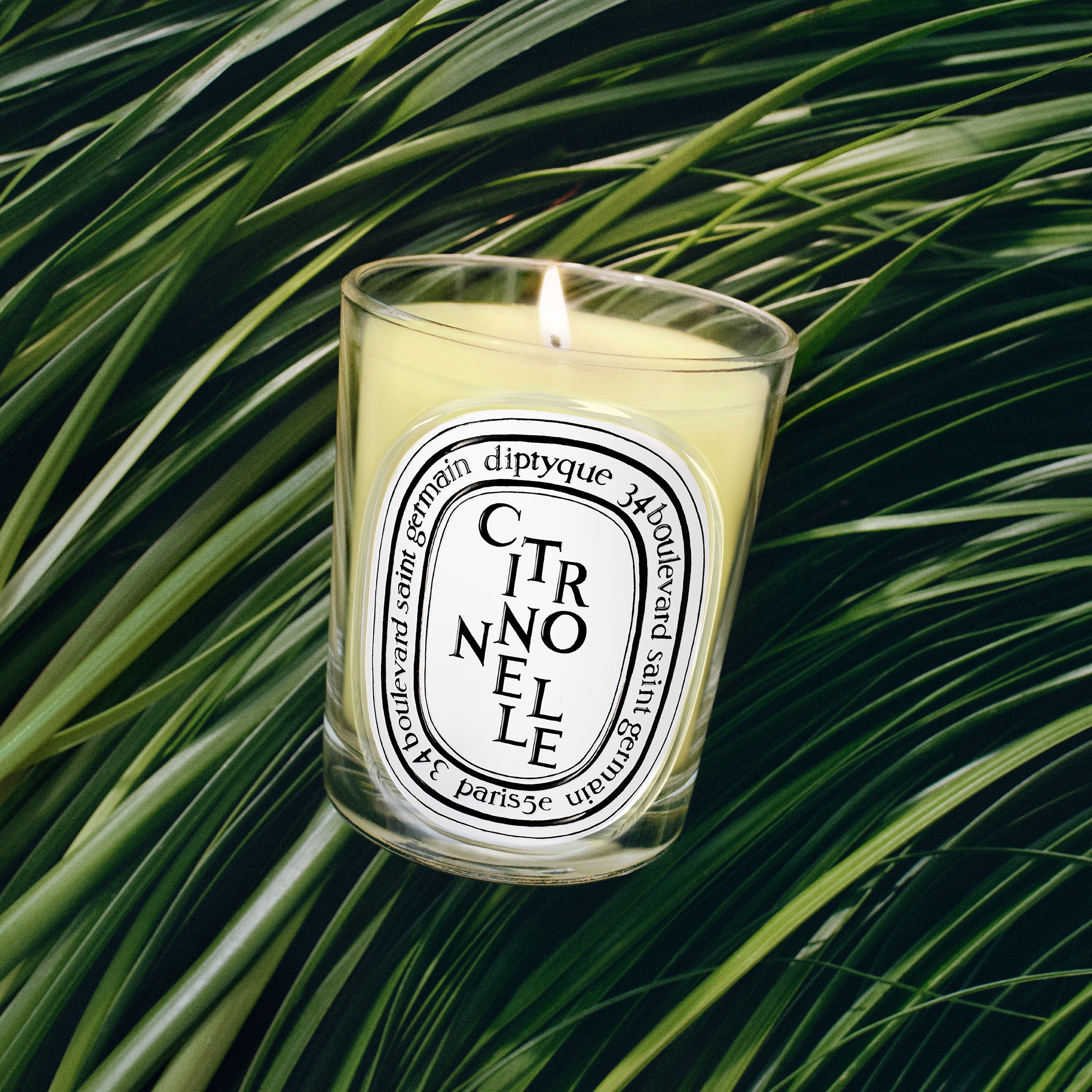 Diptyque - Citronnelle Candle (Lemongrass) | Candle Delirium